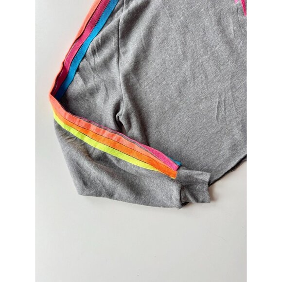 AVIATOR NATION Grey Neon Rainbow Bolt Embroidery Fleece Crop Sweatshirt, Size M - Picture 9 of 16